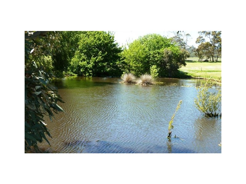 208 Oakley Road, Mclaren Vale SA 5171