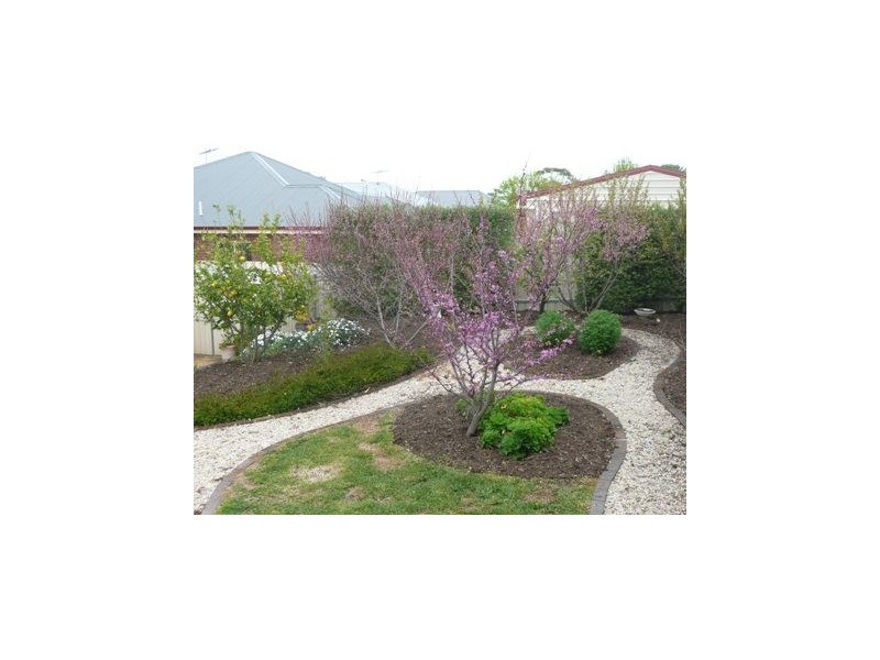 6 Vales Court, Mclaren Vale SA 5171