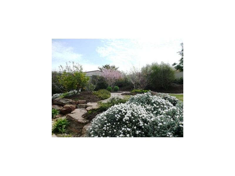 6 Vales Court, Mclaren Vale SA 5171