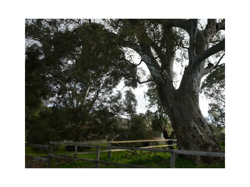 Lot 24 Pennys Road, Mclaren Flat SA 5171