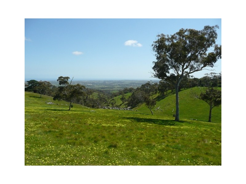 Lot 100 Penneys Hill Road, Mclaren Vale SA 5171
