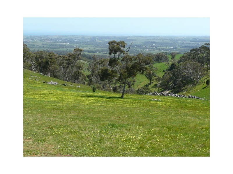 Lot 100 Penneys Hill Road, Mclaren Vale SA 5171