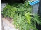 15 Finland Court, Hackham West SA 5163