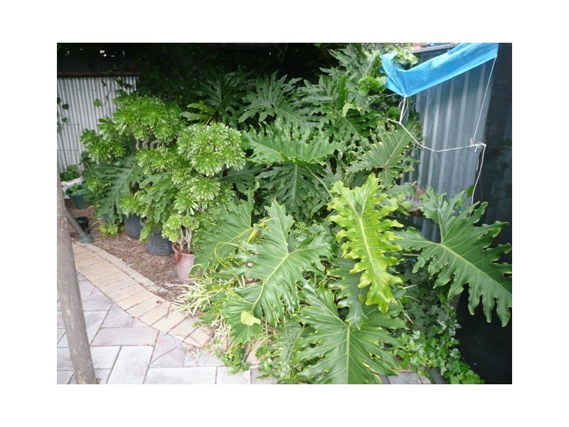 15 Finland Court, Hackham West SA 5163