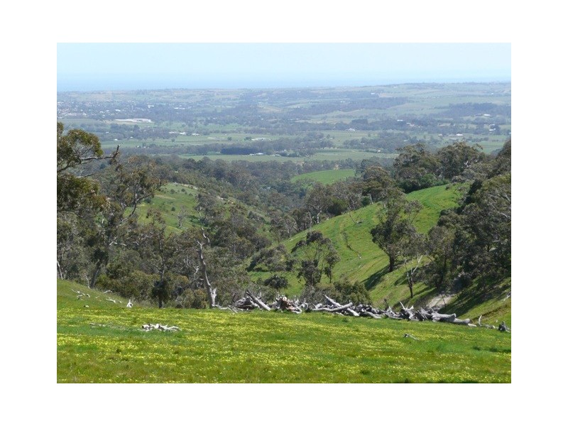 Lot 100 Penneys Hill, Mclaren Vale SA 5171