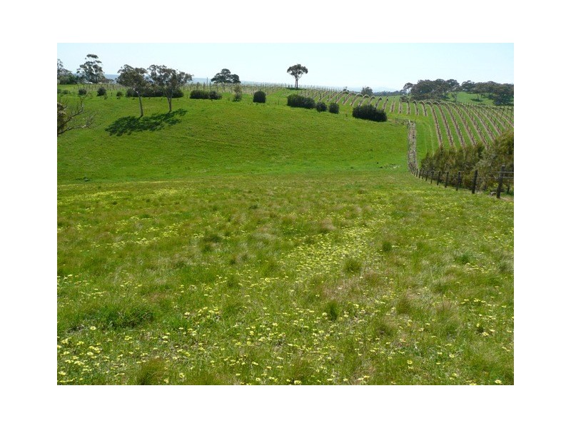 Lot 100 Penneys Hill, Mclaren Vale SA 5171