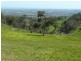 Lot 100 Penneys Hill, Mclaren Vale SA 5171