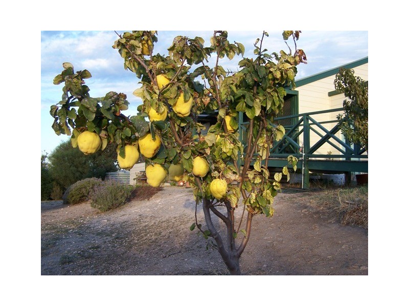 RSD 2330 Tuit Road, Maslin Beach SA 5170