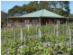 Lot 2 Whitings Road, Mclaren Vale SA 5171