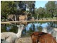 Lot 2 Whitings Road, Mclaren Vale SA 5171