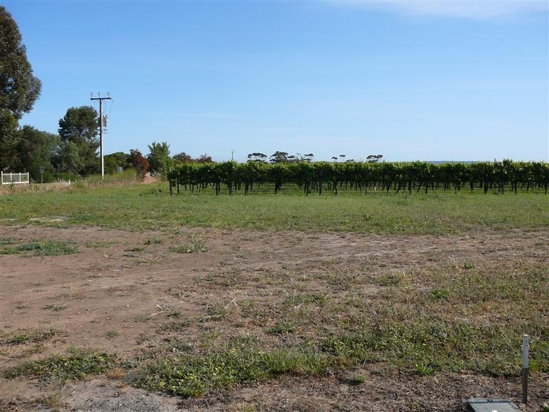 6 Allotments Norman Road, Willunga SA 5172