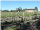 Lot 2 Whitings Road, Mclaren Vale SA 5171