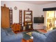 12 Hall Road, Willunga SA 5172
