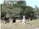 Sec 474 Piebald Gully Road, Kangarilla SA 5157