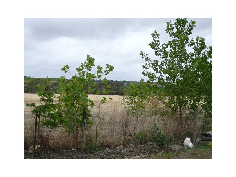 266 Main Road, Mclaren Vale SA 5171