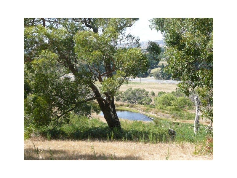 Lot 201 Bahloo Glen Road, Mount Compass SA 5210