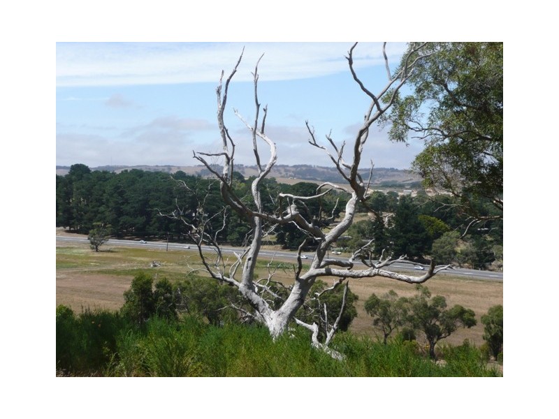 Lot 201 Bahloo Glen Road, Mount Compass SA 5210