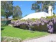 8  St Lukes Street, Willunga SA 5172