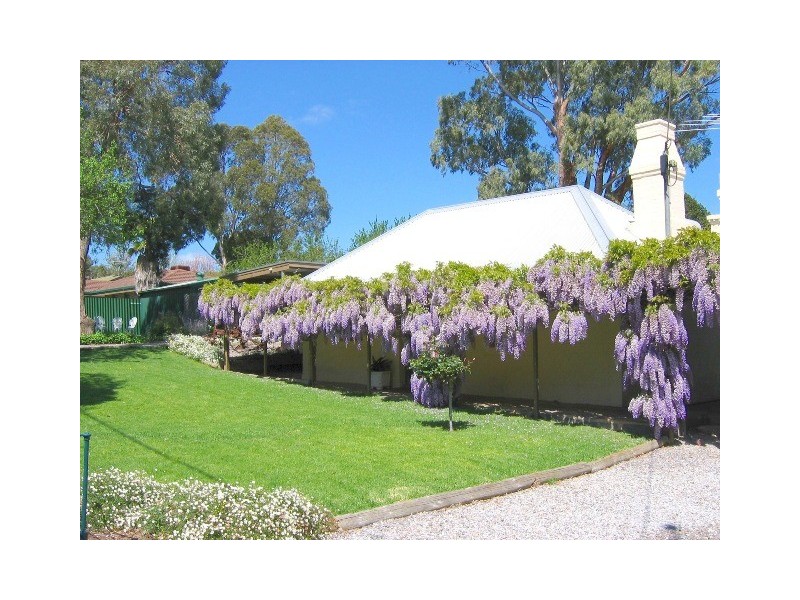 8  St Lukes Street, Willunga SA 5172
