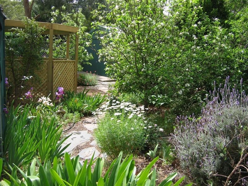8  St Lukes Street, Willunga SA 5172