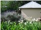 8  St Lukes Street, Willunga SA 5172