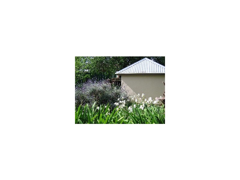 8  St Lukes Street, Willunga SA 5172