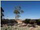 Lot 25 Aldinga Road, Willunga SA 5172