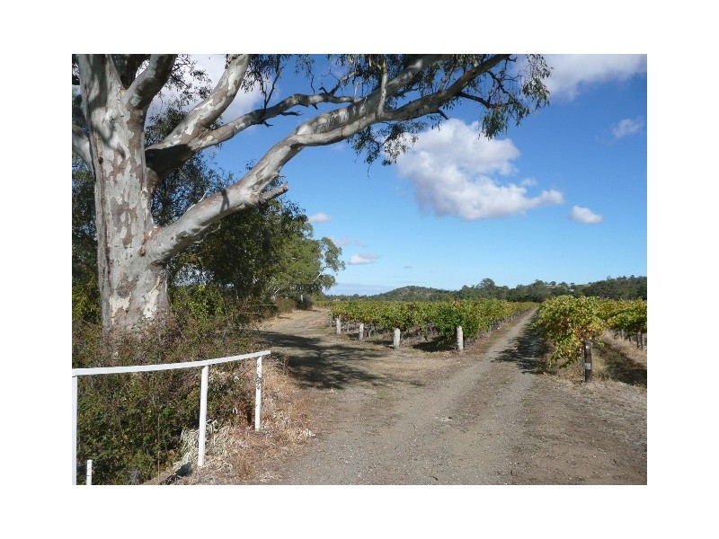 Lot 30 Blewitt Springs Road, Mclaren Flat SA 5171