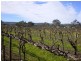 Lot 30 Blewitt Springs Road, Mclaren Flat SA 5171