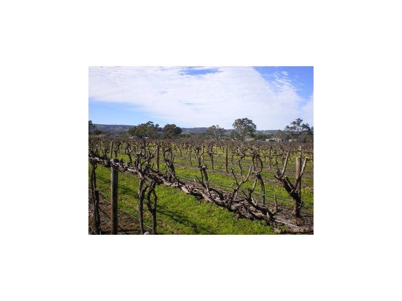 Lot 30 Blewitt Springs Road, Mclaren Flat SA 5171