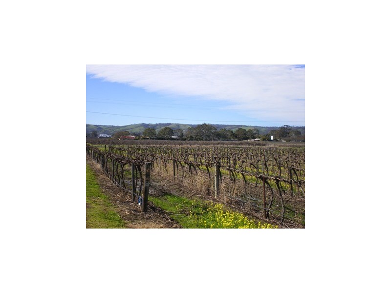 Lot 30 Blewitt Springs Road, Mclaren Flat SA 5171