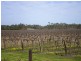 Lot 30 Blewitt Springs Road, Mclaren Flat SA 5171