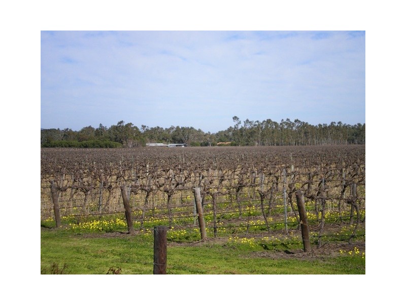 Lot 30 Blewitt Springs Road, Mclaren Flat SA 5171