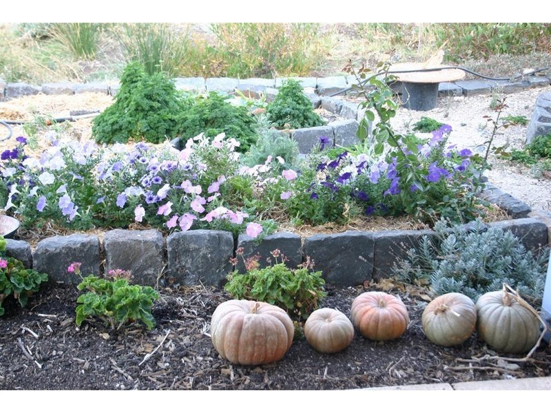 16 Yacca Way, Aldinga SA 5173