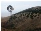 Lot 4 Main South Road, Sellicks Hill SA 5174
