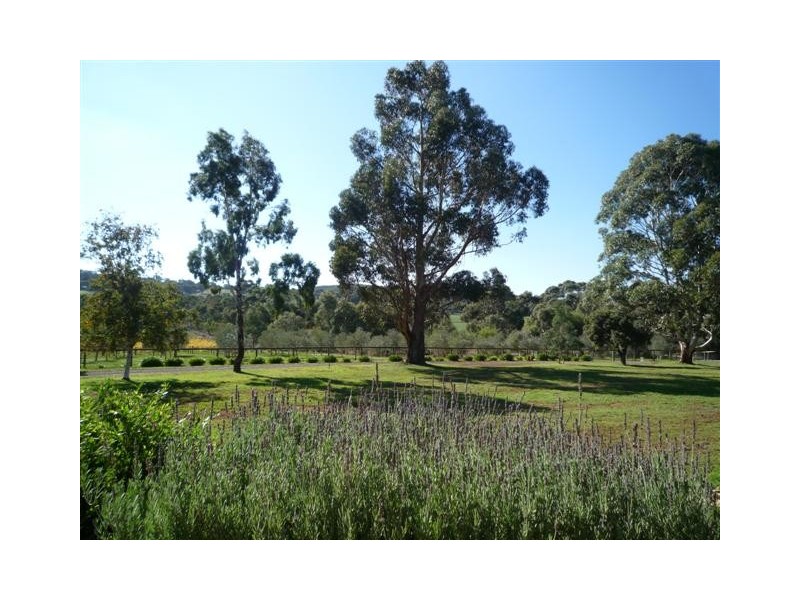 Sec 736 Cnr Pages Flat and Dodd Rd, Willunga SA 5172