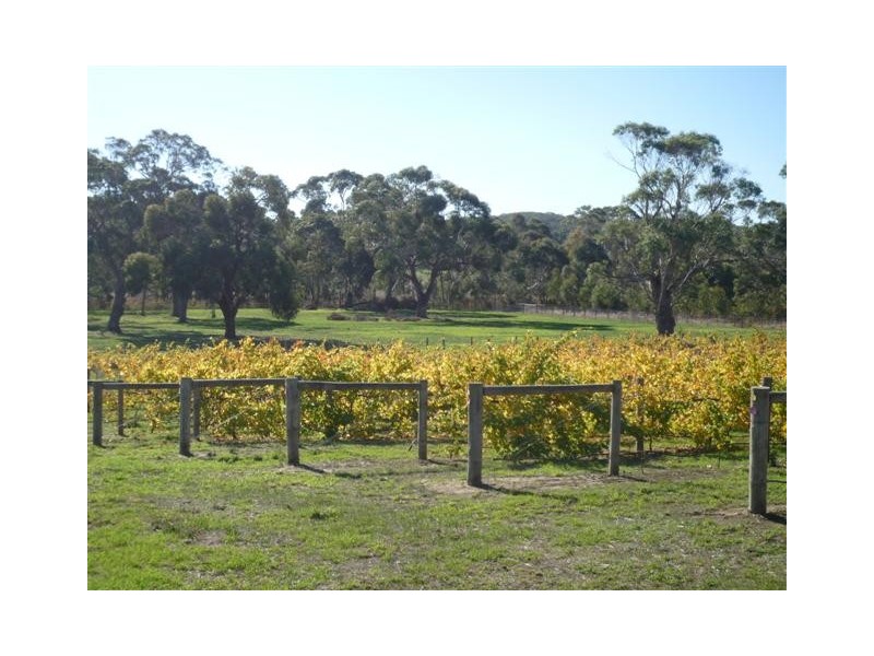 Sec 736 Cnr Pages Flat and Dodd Rd, Willunga SA 5172