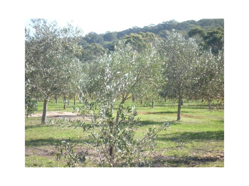 Sec 736 Cnr Pages Flat and Dodd Rd, Willunga SA 5172