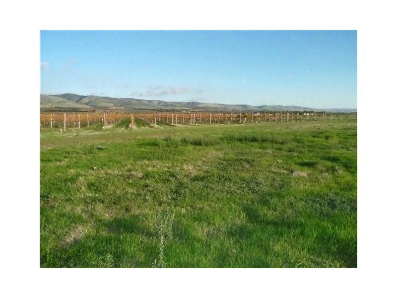 Lot 100 Hahn Road, Sellicks Hill SA 5174
