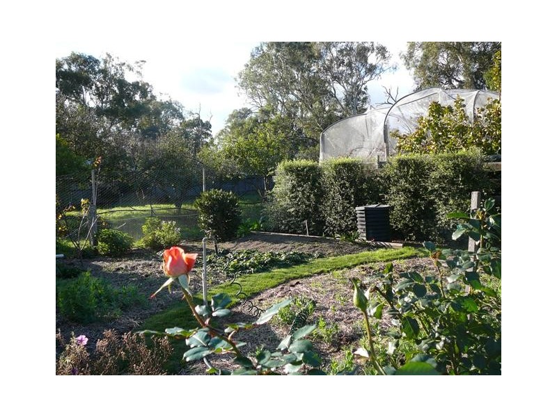 9 St Lukes Street, Willunga SA 5172