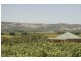 Lot 2 Whitings Road, Mclaren Vale SA 5171