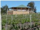 Lot 2 Whitings Road, Mclaren Vale SA 5171