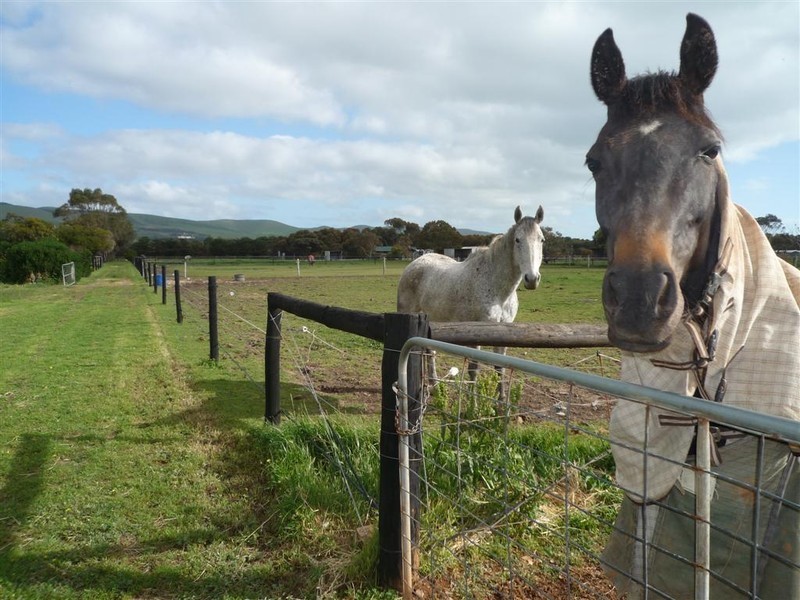 Lot 9 Norman Road, Aldinga Beach SA 5173