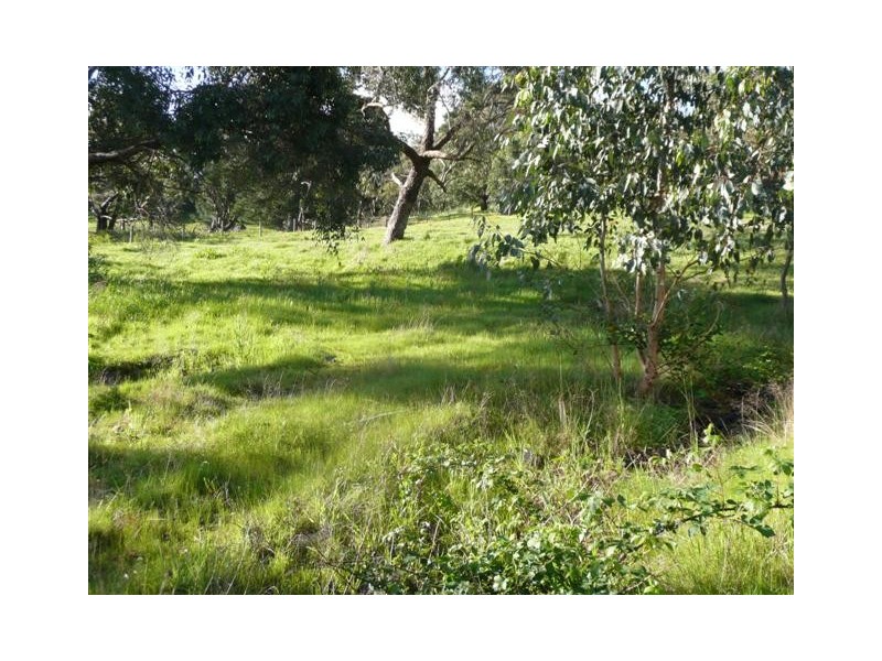 Lot 101 Victor Harbor Road, Mount Compass SA 5210