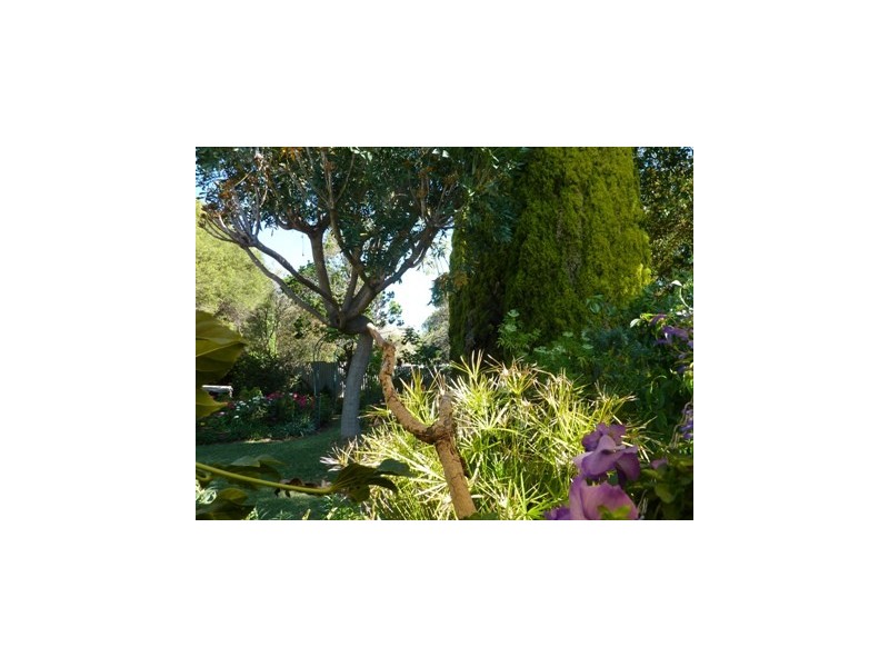 26 Radnor Street, Morphett Vale SA 5162