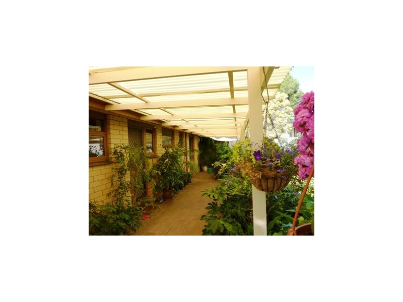 26  Radnor Street, Morphett Vale SA 5162