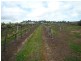 Lot 51 Pethick Road, Willunga SA 5172