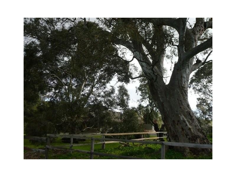 Lot 24 Pennys Road, Mclaren Flat SA 5171