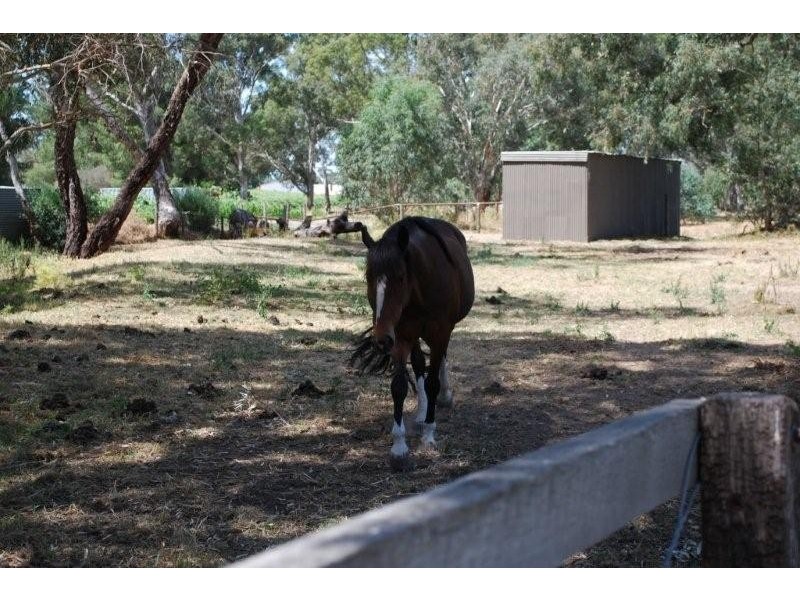 Lot 24 Pennys Road, Mclaren Flat SA 5171