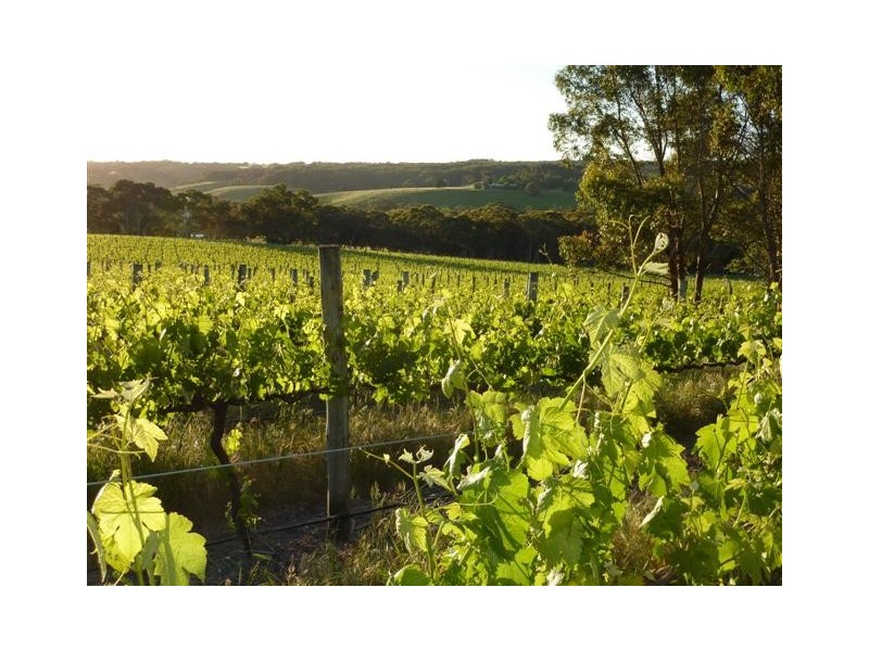 Lot 155 via Pages Flat Road, Willunga Hill SA 5172